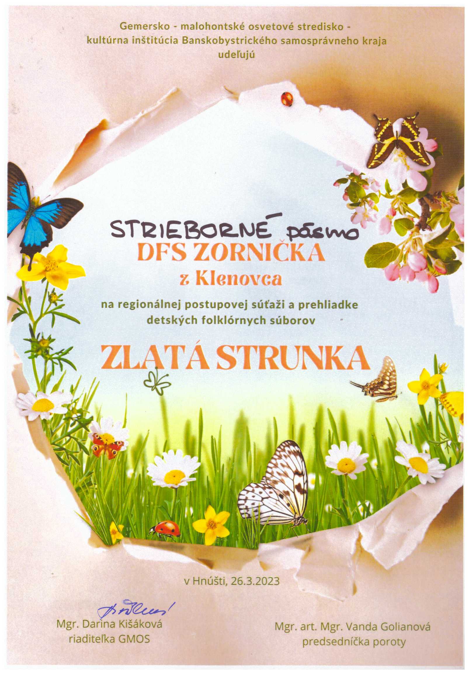 DFS_Zornička