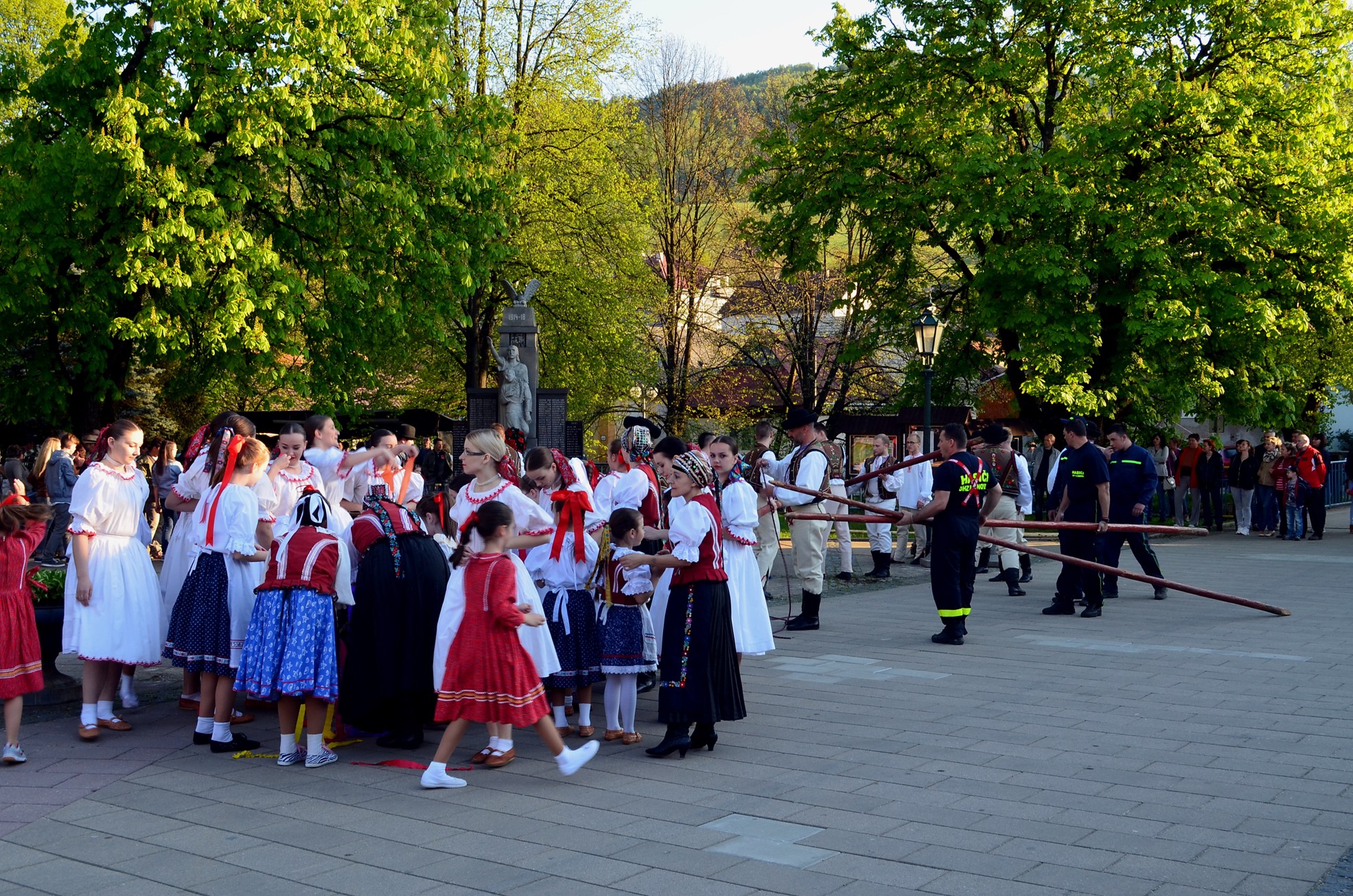 DSC_6276 M
