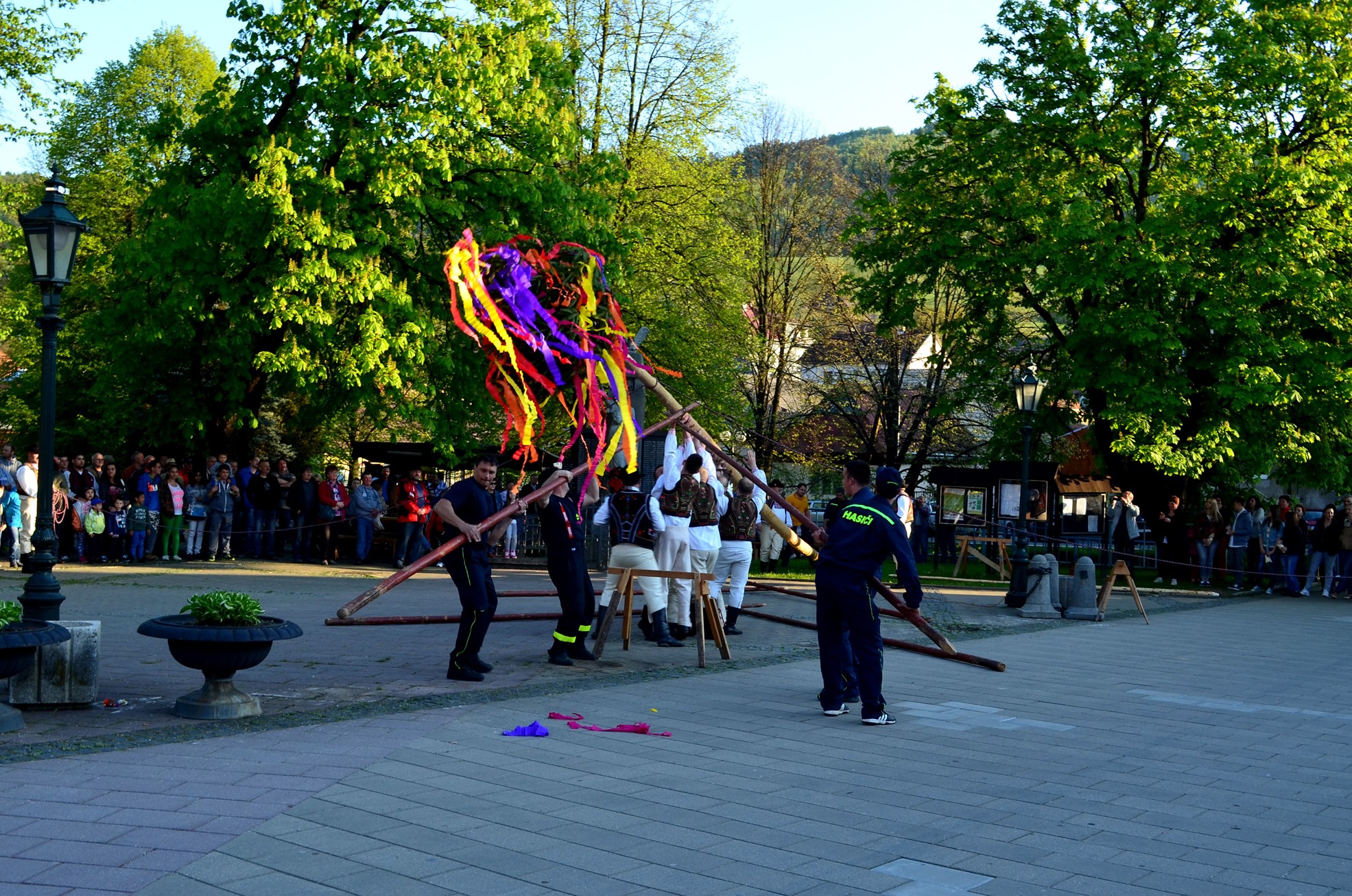 DSC_6296 M