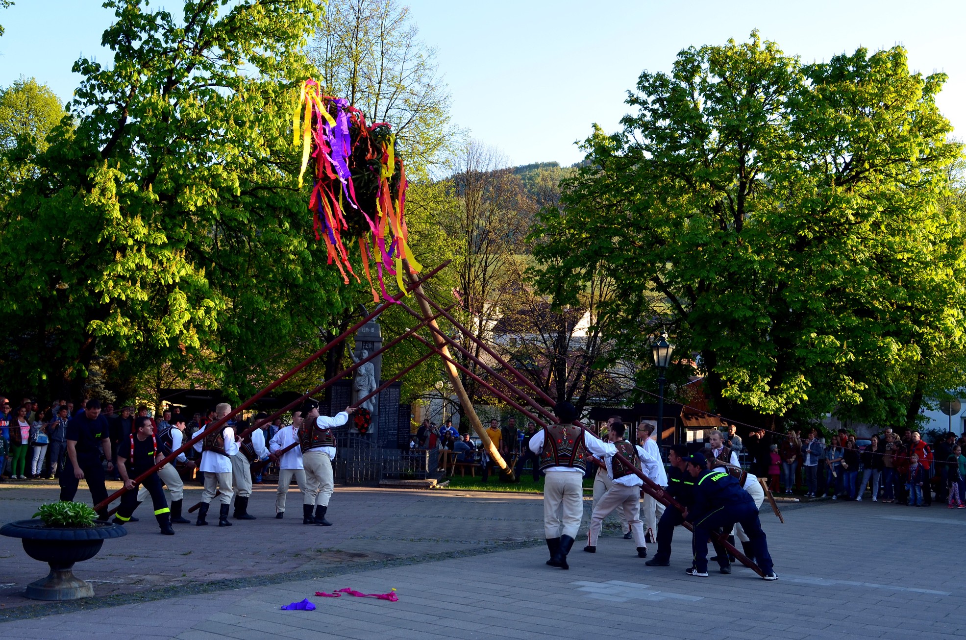 DSC_6299 M