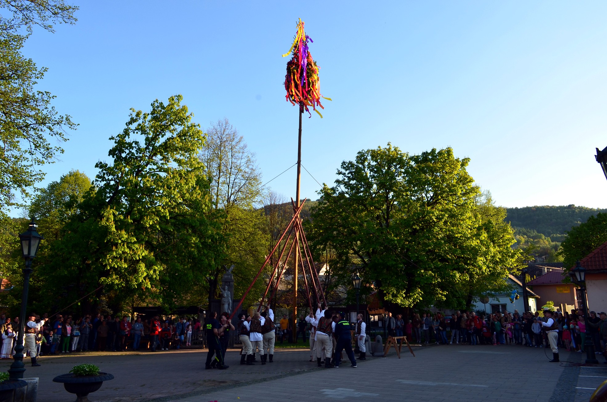 DSC_6305 M