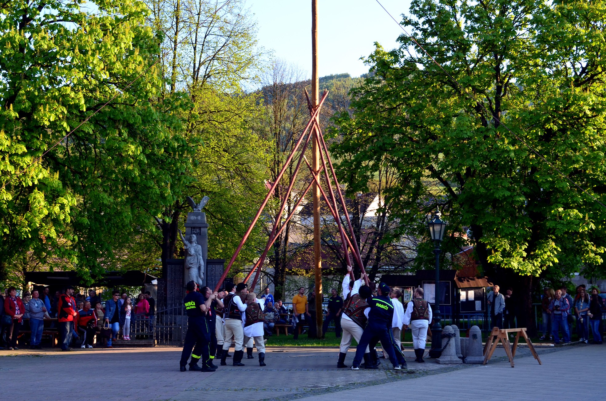 DSC_6306 M