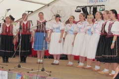 breznicka