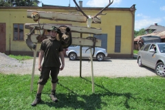 cesta