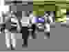 1000039242