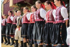 Koliesko 2011
