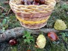 IMG_20201010_134847