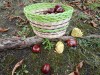 IMG_20201010_145534
