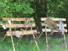 IMG_5931