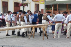 Stavanie mája 2013
